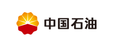 中国石油天然气集团拼搏（中国）