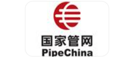 国家石油天然气管网有限拼搏（中国）